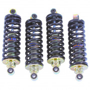 Performance Shock Absorbers, with springs, Gaz